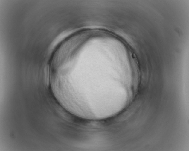 X0000114221175200910231437