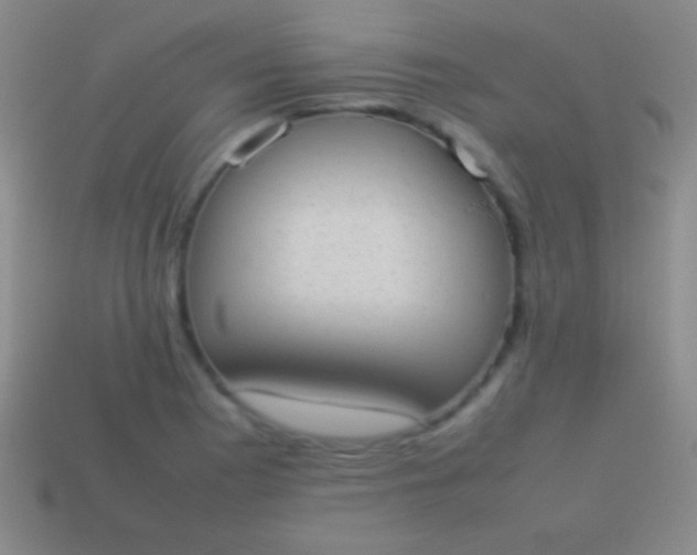 X0000114221177200910231437