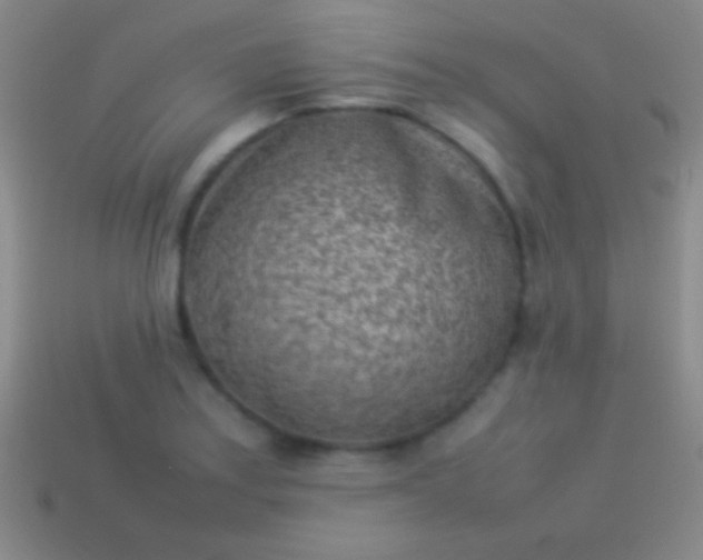 X0000114221179200910231437