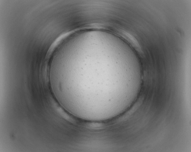 X0000114221180200910231437