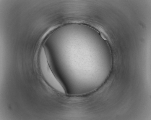 X0000114221181200910231437