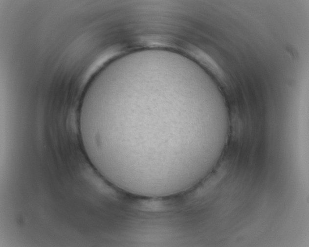 X0000114221182200910231437