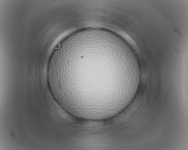 X0000114221183200910231437