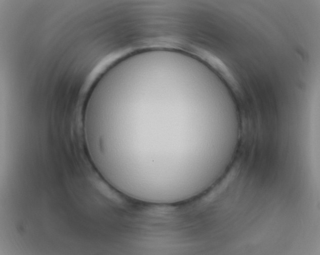 X0000114221184200910231437