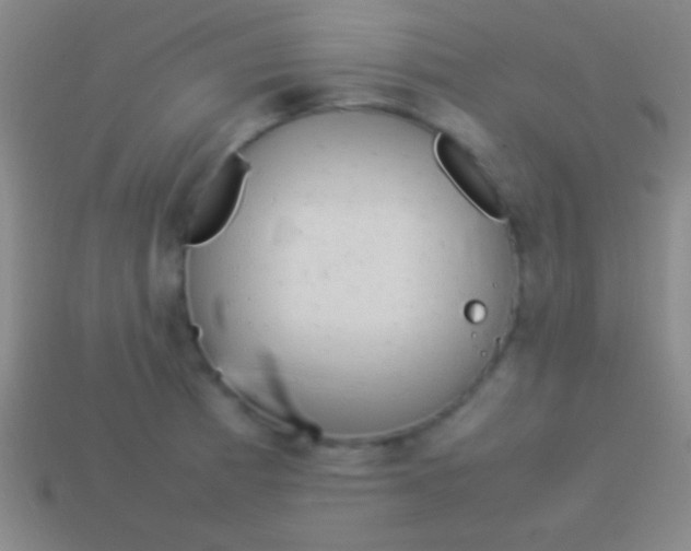 X0000114221185200910231437