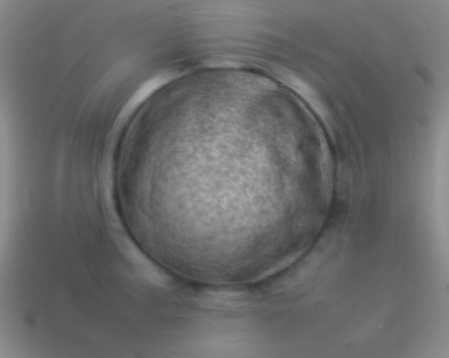 X0000114221187200910231437