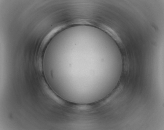 X0000114221188200910231436