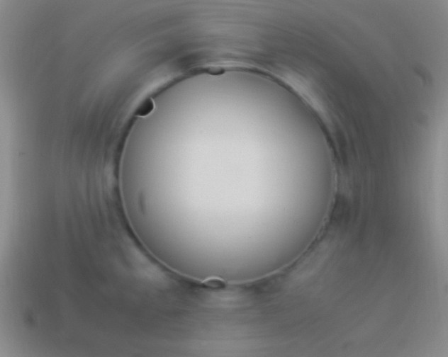 X0000114221189200910231436