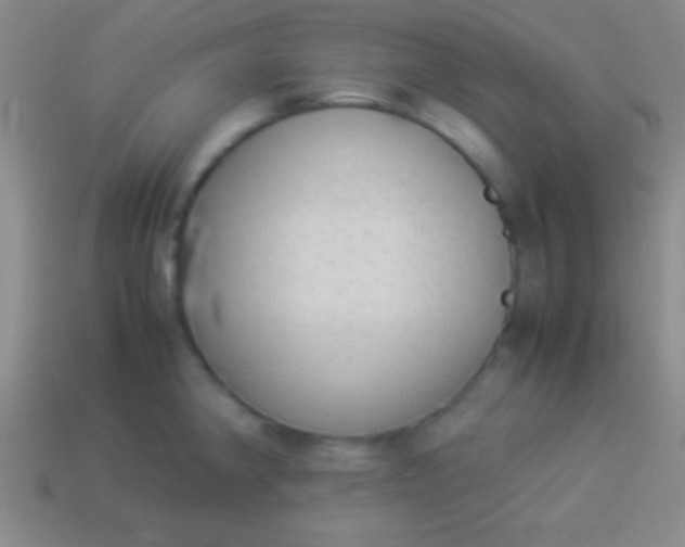 X0000114221190200910231436