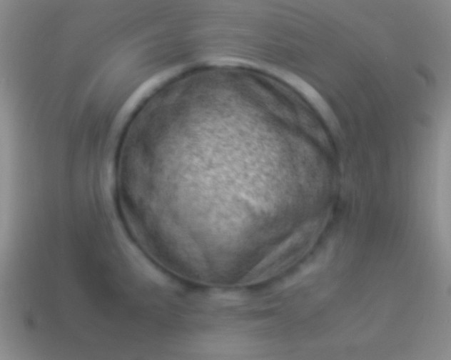 X0000114221191200910231436