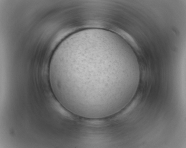 X0000114221192200910231436