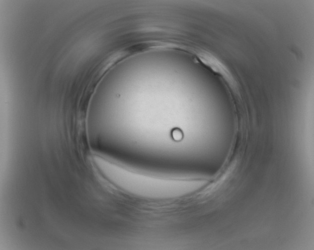 X0000114221193200910231436