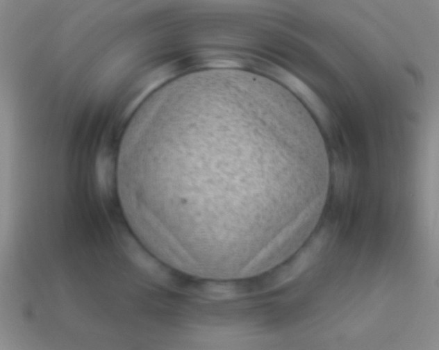 X0000114221194200910231436