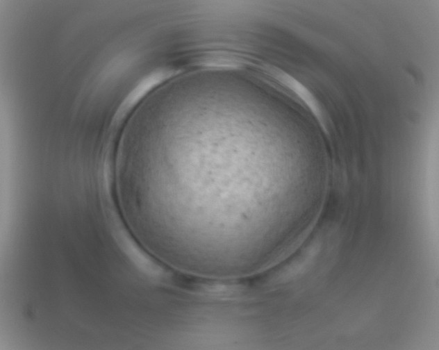 X0000114221195200910231436