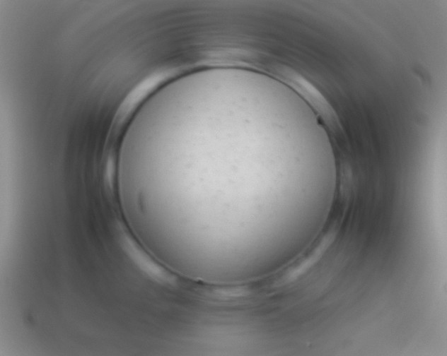 X0000114221196200910231436