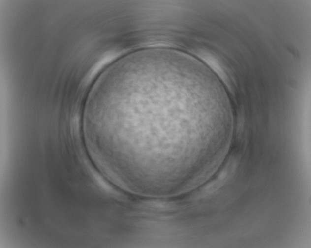 X0000114221197200910231436