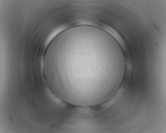 X0000114221198200910231436