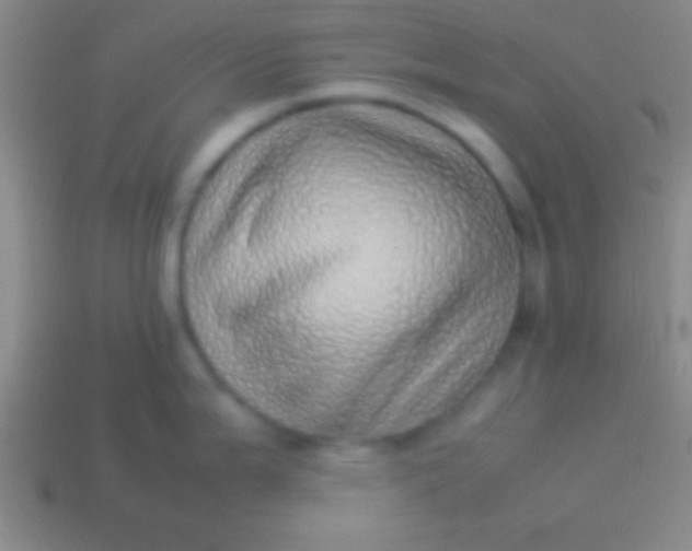 X0000114221199200910231436