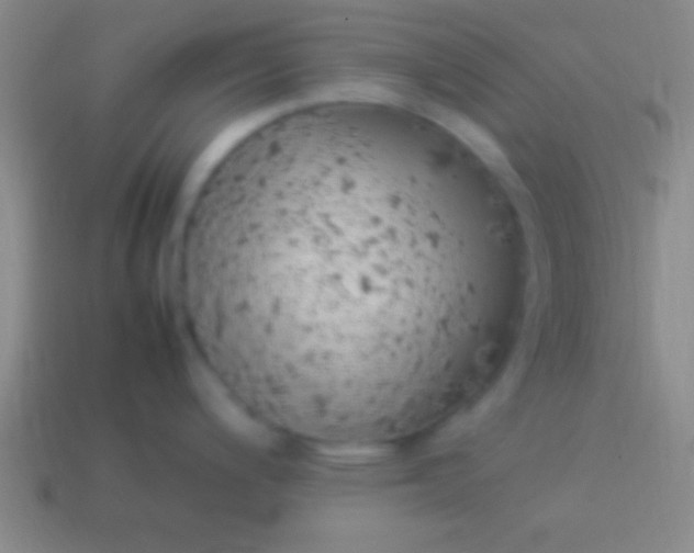 X0000114221200200910231436