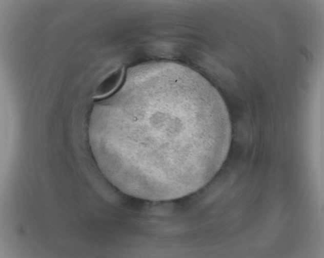 X0000114221201200910231436