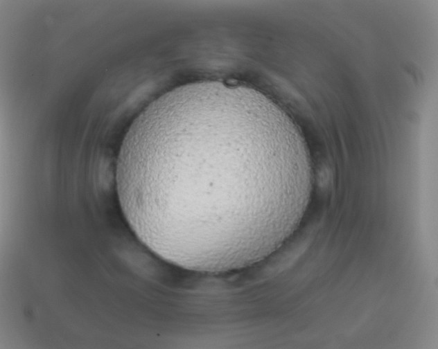 X0000114221204200910231436