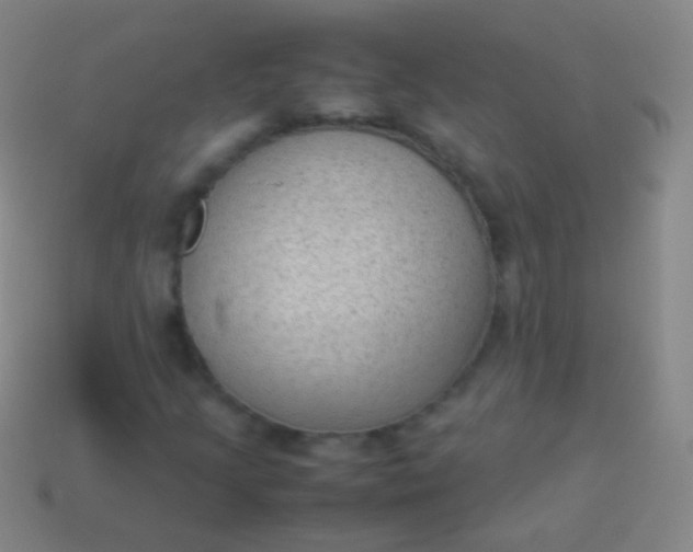 X0000114221205200910231436