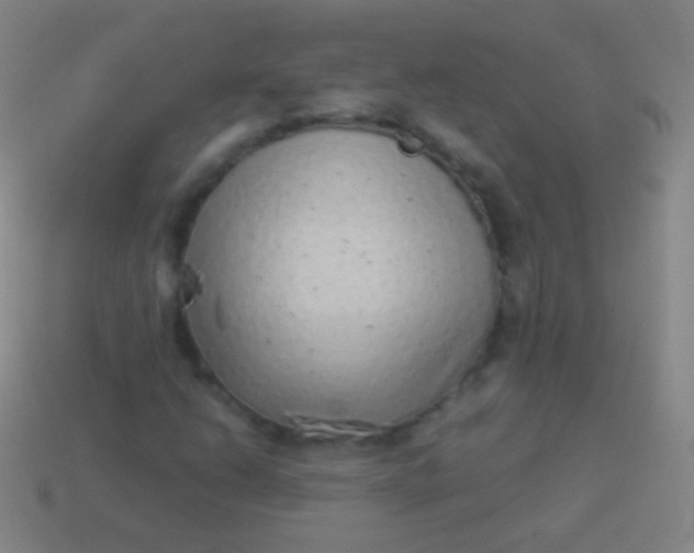 X0000114221206200910231436