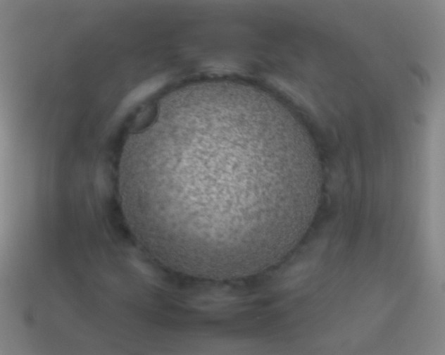 X0000114221207200910231436