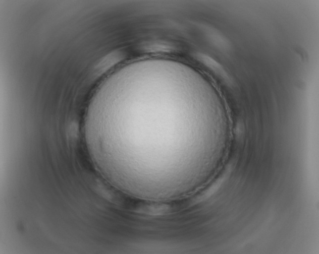 X0000114221209200910231436