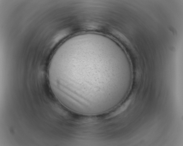 X0000114221210200910231436