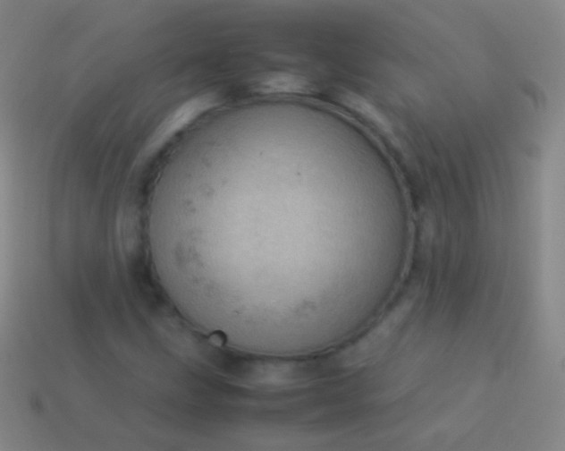 X0000114221211200910231436