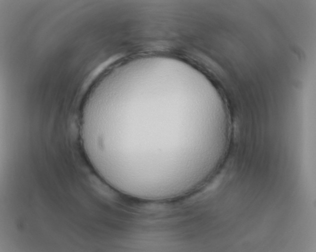 X0000114221212200910231436