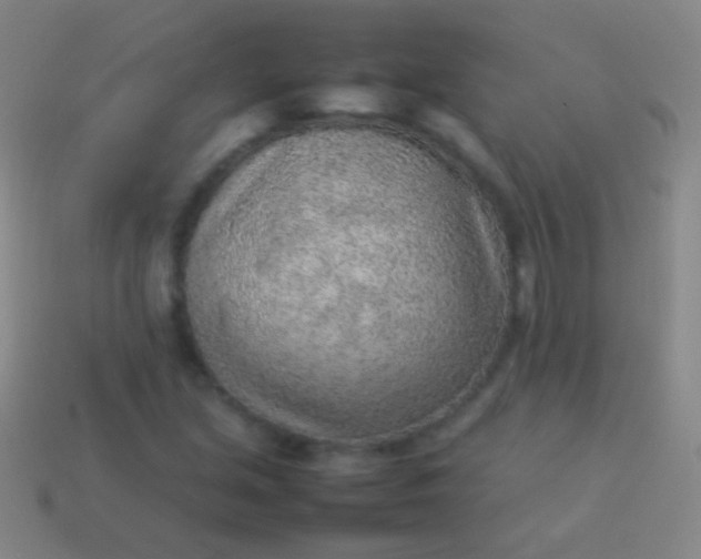 X0000114221213200910231436