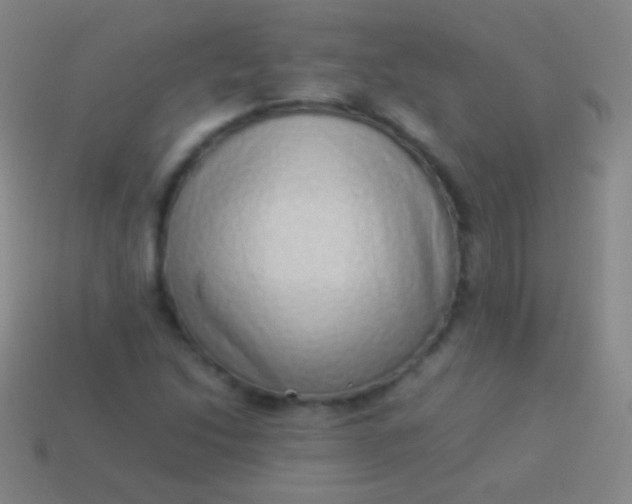 X0000114221214200910231436