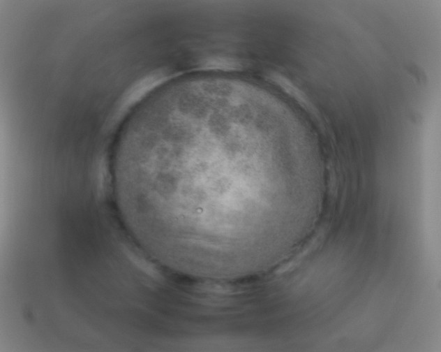 X0000114221215200910231436