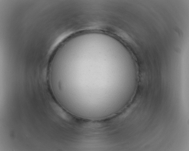 X0000114221216200910231436