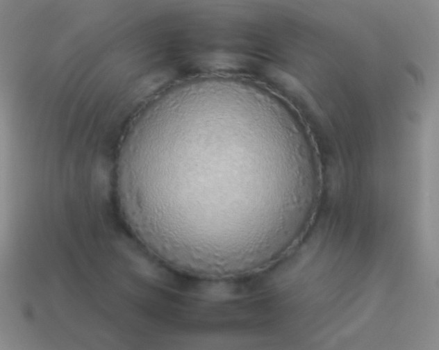 X0000114221217200910231436