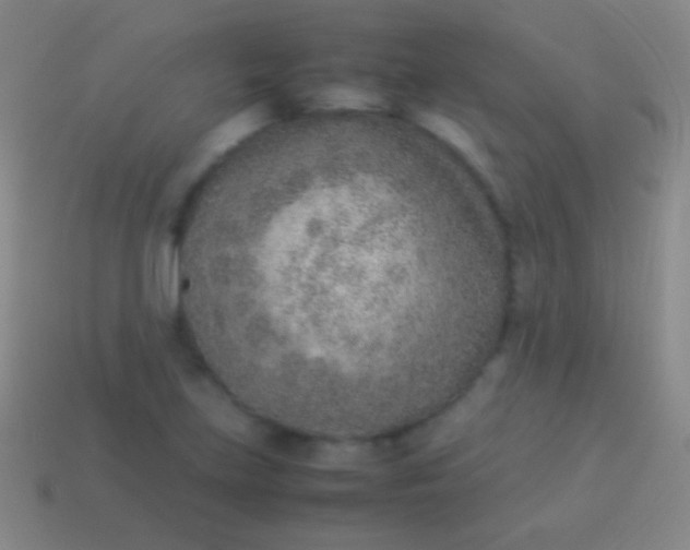 X0000114221219200910231436