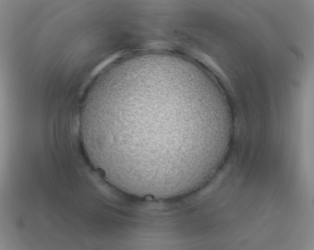 X0000114221220200910231436