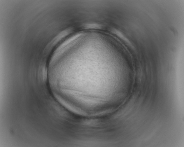 X0000114221221200910231436