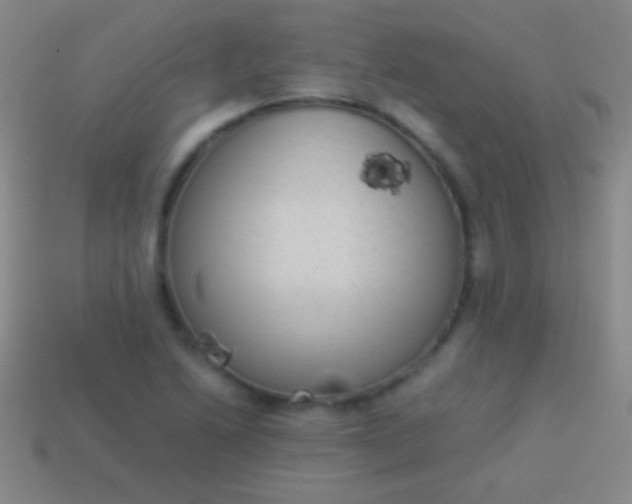 X0000114221222200910231436