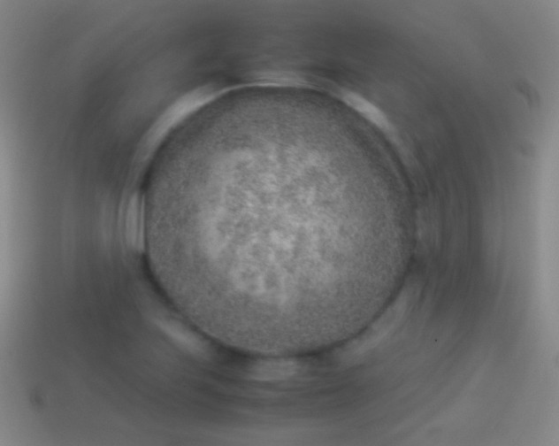 X0000114221223200910231436