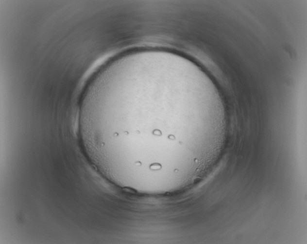 X0000114221224200910231436