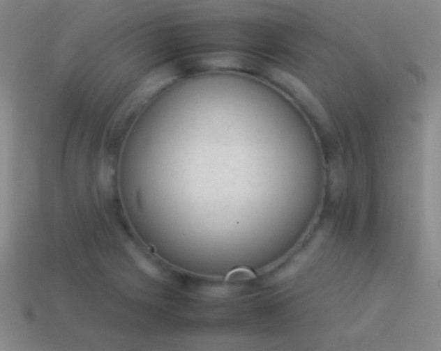 X0000114221225200910231436