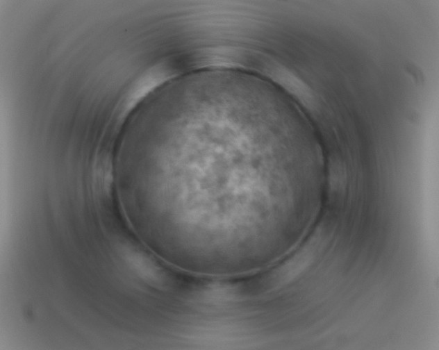 X0000114221226200910231436