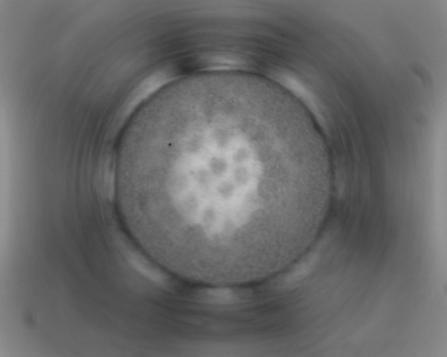 X0000114221227200910231436