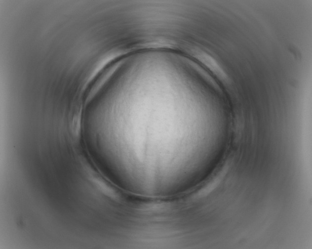 X0000114221228200910231436