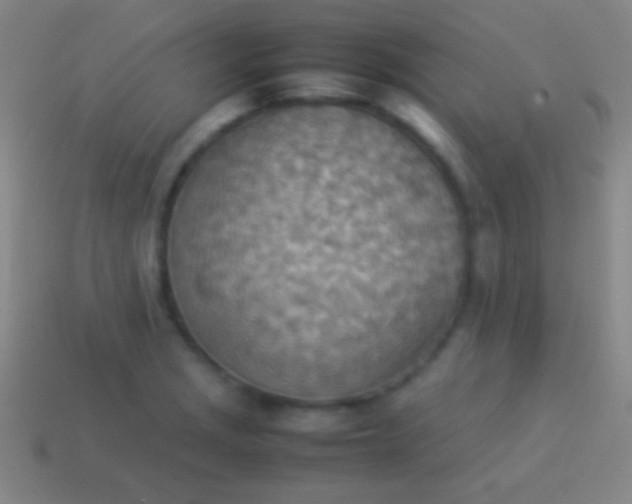 X0000114221229200910231436