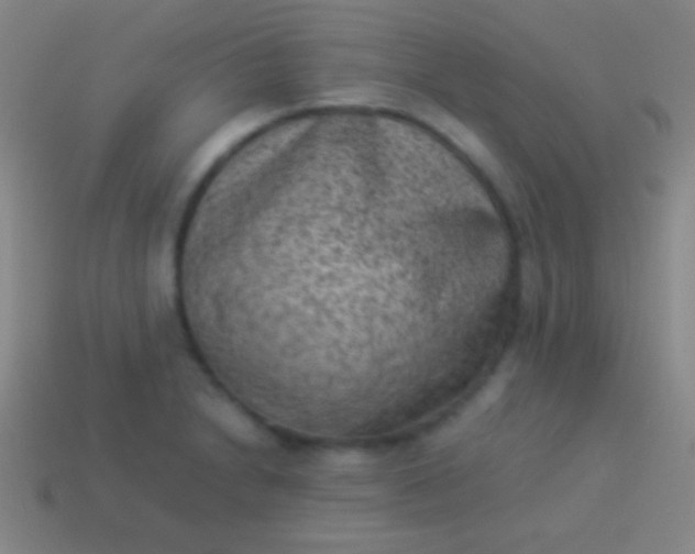 X0000114221230200910231436