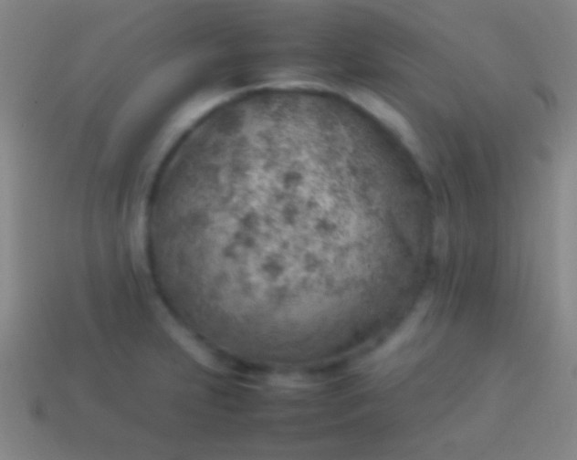 X0000114221231200910231436